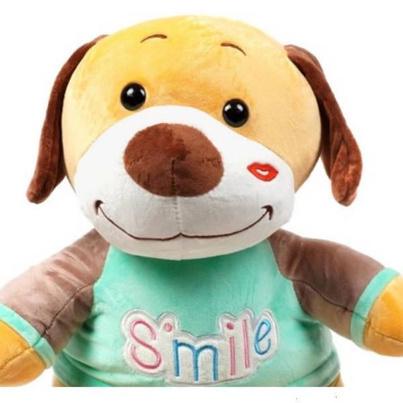 Іграшка-плед Собачка Smile 3в1 36см (плед 100*150см) Бірюзова