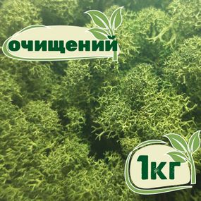 Очищений стабілізований мох ягель Зелений темний 1 кг