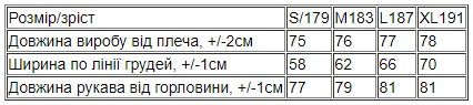 Худі для чоловіків (оверсайз) Носи своє XL/191 Синій (p-13667-153144) | Зображення 3