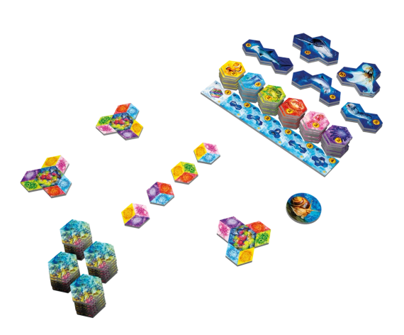 Настільна гра Aqua. Океанське біорізноманіття (AQUA: Biodiversity in the oceans) | Зображення 2