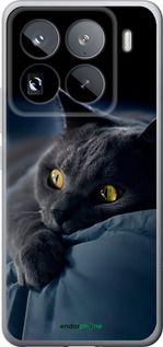 Чохол на Xiaomi 15 Pro Димчастий кіт "825u-3879-2448"