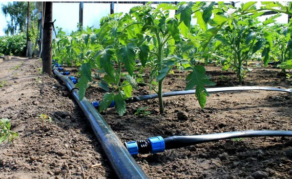 Заглушка для ленты капельного полива | Зображення 2