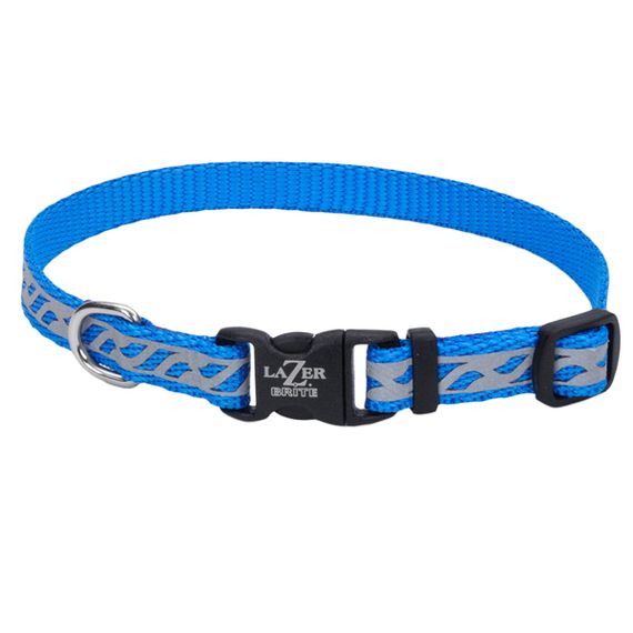 Нашийник світловідбивний для собак Coastal Lazer Brite Reflective Collar, 20-30 см, блакитний