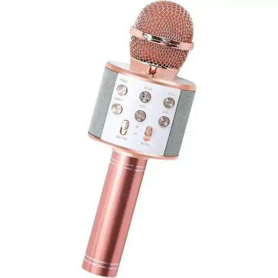 ОЧЕНКА! Бездротовий караоке-мікрофон Wster WS-858 Bluetooth (Плохе паковання 3507) | Зображення 2
