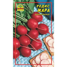 Насіння редису Жара 3 г (Насіння країни)
