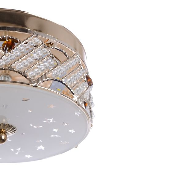 Люстра светодиодная потолочная 9W NW G (BCL-484C G (BCL-484C/1) | Зображення 2