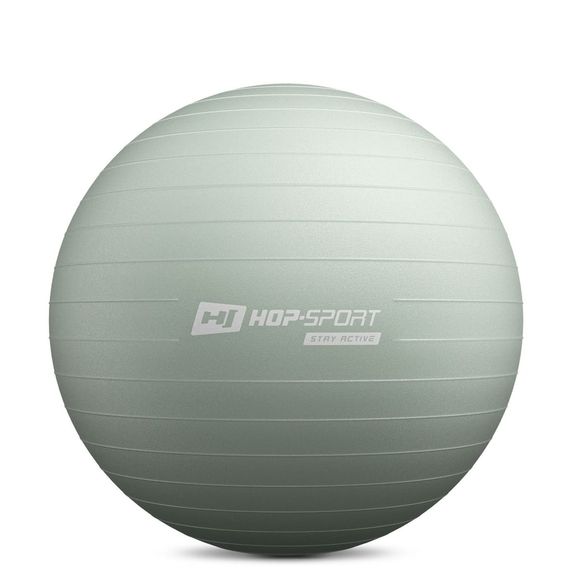 Фітбол Hop-Sport 65см шавлієвий + насос | Зображення 1