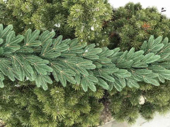 Гірлянда хвойна Classic лита 2 м зелена