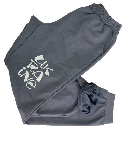 Штани спортивні жіночі ФЛОРА сірі, з принтом UKRAINE роз. 44