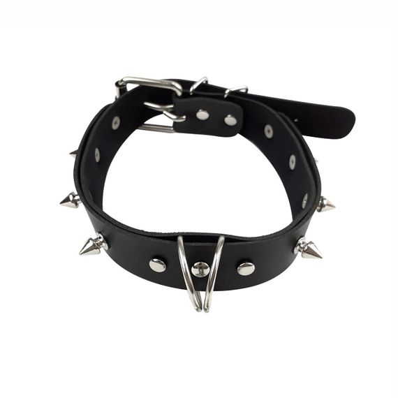 Нашийник з шипами та повідцем Art of Sex - Collar Spikes and Leash Sex Aura | Зображення 1
