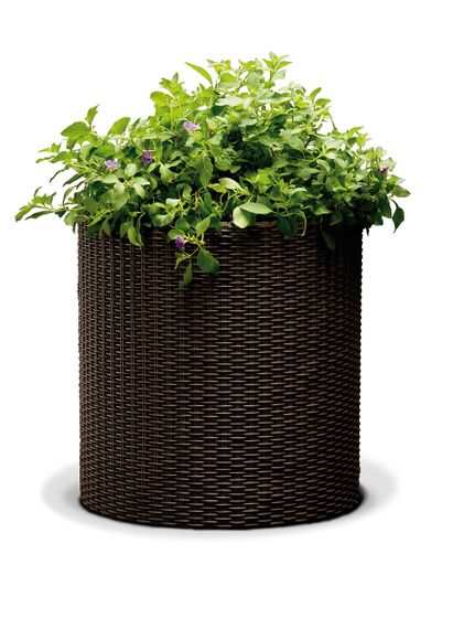 Горшок для цветов (кашпо) Keter (Кетер) Cylinder Planter M (17197835) Коричневый | Зображення 1