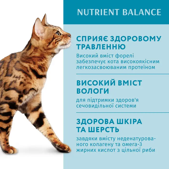 Вологий корм пауч Optimeal Adult для дорослих котів, форель у кремовому соусі 85г | Зображення 2