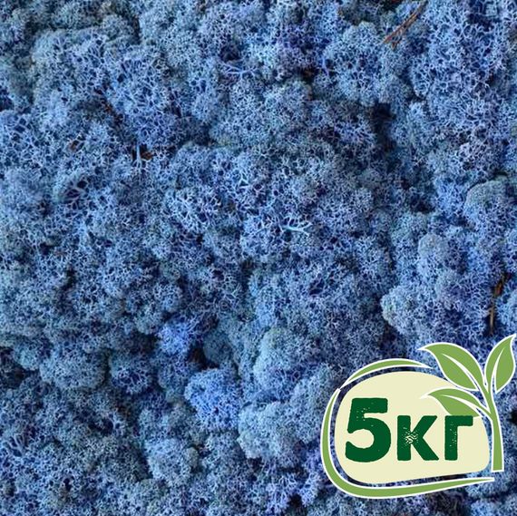 Стабілізований мох ягель Лавандовий 5 кг