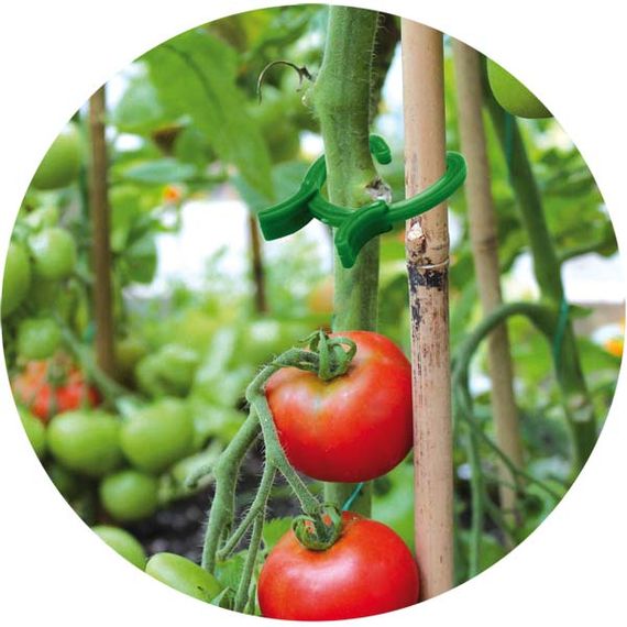 Затискачі Bradas для кріплення рослин 3 розміри 45 шт TYK19 | Зображення 1