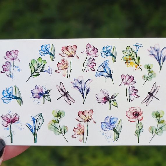 Слайдер B-04 на водяній основі (5x8см)