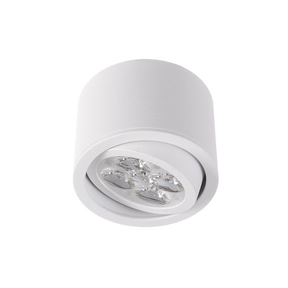Светильник тубус в ванную LED-321/5x1W WW WH