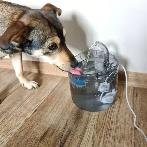 Поїлка-фонтан 2 в 1 для тварин PURLOV 20700 | Зображення 5