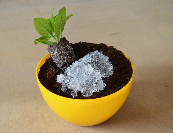 Гідрогель 50 г середня фракція | Зображення 1