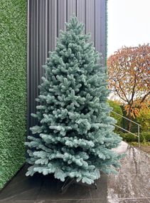 Искусственная елка HVOYA Super Lux литая 220 см голубая | Пышная реалистичная дымчато-голубая елка