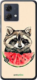 Чохол на Motorola Moto G84 Єнотик з кавуном "4605u-3344-2448"