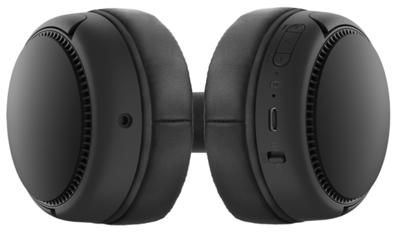 Гарнітура Panasonic RB-M300BGE-K (RB-M300BGE-K) | Зображення 2