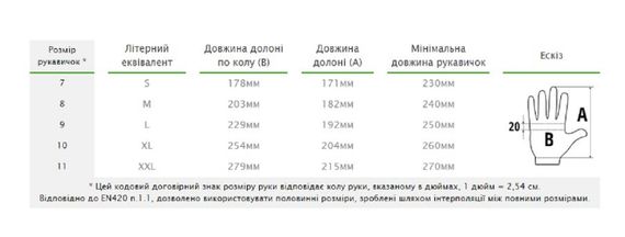Рукавички захисні Bradas IRON BULL із коров'ячої шкіри розмір 10½ RWIB105 | Зображення 1