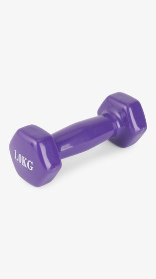 Гантель для фітнесу 1 кг G-77 Фіолетовий shop (2000999559068)