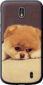 Чехол на Nokia 1 Boo 2 "890u-1373-17620"