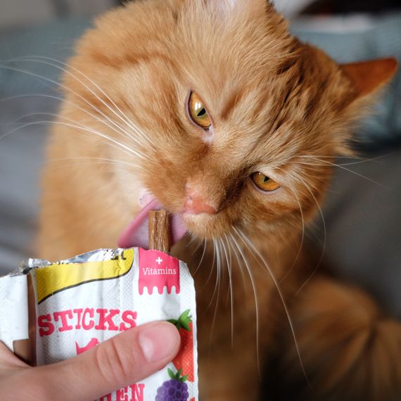 Ласощі GimCat Superfood Duo-Sticks м’ясні палички для котів з куркою та лісовими ягодами 3 шт по 5 г | Зображення 4