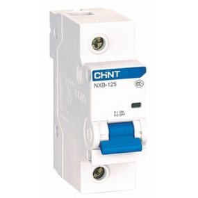 Автоматический выключатель Chint NXB-125 1P C100А 10 кА