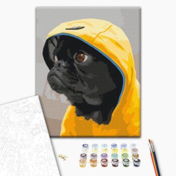 Картина за номерами: Мопс у капюшоні Brushme RBS52614 Різнокольоровий shop (9995482474276) | Зображення 1