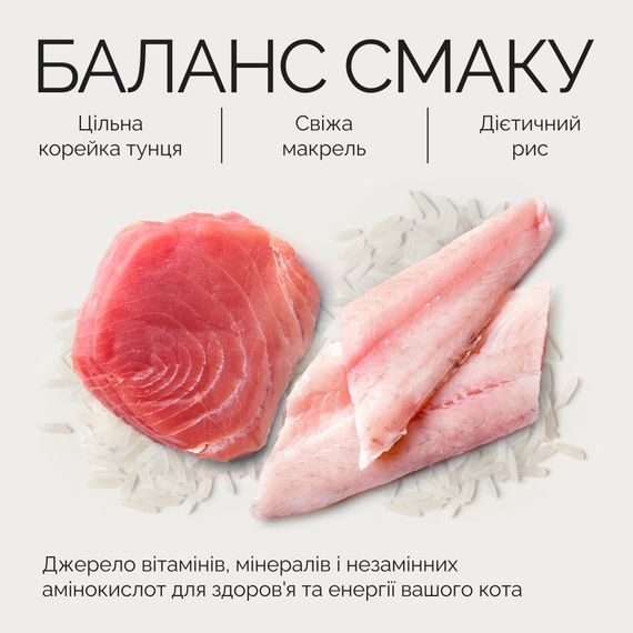 Влажный корм Savory Tuna Fillets rich in Mackerel in Jelly for Adult Cats филе тунца с макрелью в желе для взрослых котов, 70 г | Зображення 5