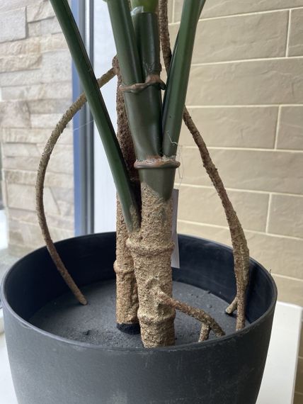 Монстера штучна 115 см у горщику | Зображення 4