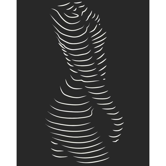 Картина по номерам "Обольстительный силуэт" 10117-AC 40х50 см