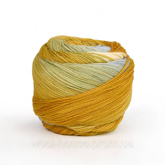 Шкарпеткова пряжа Laines du Nord Watercolor Sock, 203 | Зображення 1