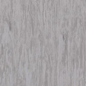Лінолеум Tarkett Standard Plus Belge Grey 0495 (2m)