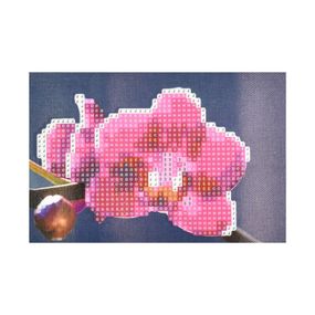 Алмазная мозаика "Магия орхидеи" YAB28645 10х15 см