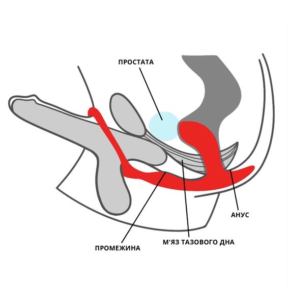 Анальная пробка с эрекционным кольцом Fun Factory BOOTIE RING slate Sex Aura | Зображення 5
