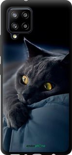 Чохол на Samsung Galaxy A42 A426B Димчастий кіт "825b-2098-2448"