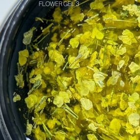 Гель з сухоцвітами SAGA Flower Gel №03 5мл
