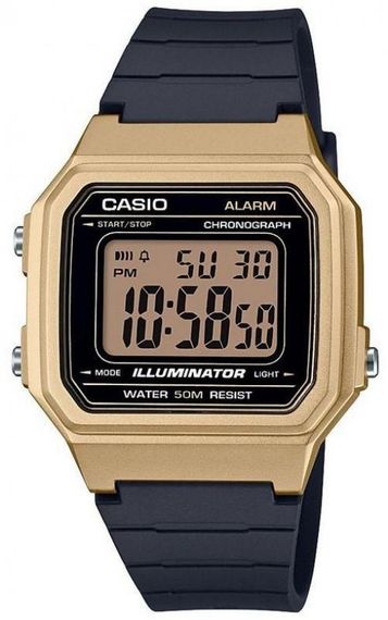 Часы наручные мужские Casio W-217HM-9AVEF
