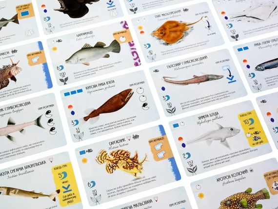 Настольная игра Рыбокрай (Finspan) укр. | Зображення 7