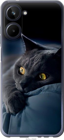 Чехол на Realme 10 Дымчатый кот "825u-2946-17620"