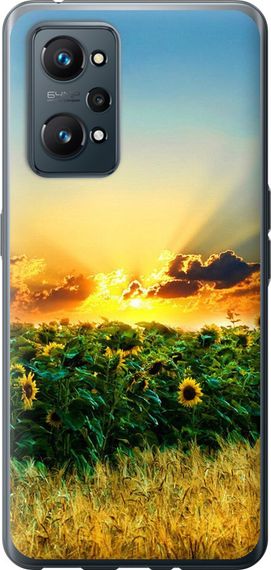 Чехол на Realme GT Neo 2 Украина "1601u-2489-17620"