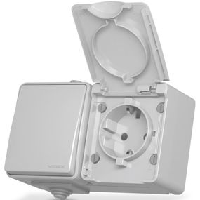 Защищенная наружная розетка с заземлением и выключатель VIDEX BINERA IP65 VF-BNW3-G серый