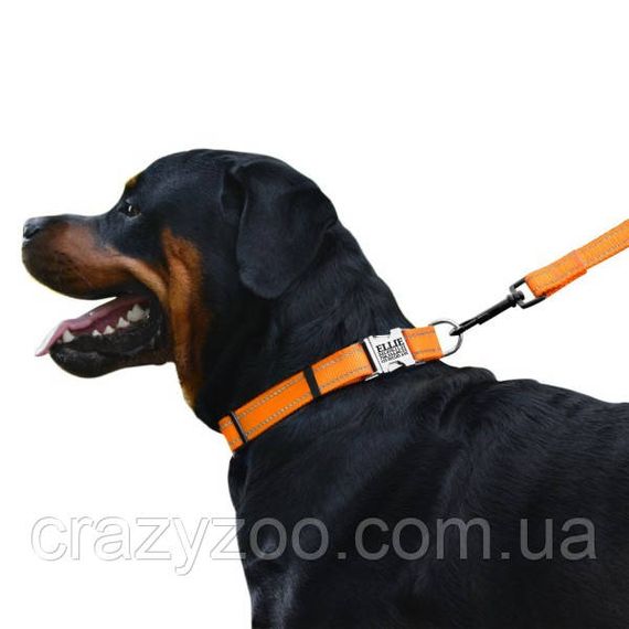 Ошейник для собак BronzeDog Active светоотражающий нейлоновый оранжевый 1x18-28 см 31/1304/Т | Зображення 1