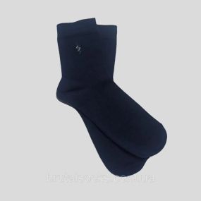 Шкарпетки чоловічі класичні демісезонні Тм TwinSocks Синій, 25 / M / 38-40