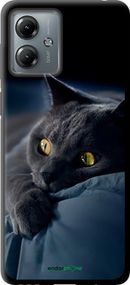 Чохол на Motorola Moto G14 Димчастий кіт "825b-3197-2448"
