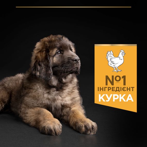Сухой корм для щенков крупных пород с курицей Purina Pro Plan Puppy Large Robust Healthy Start 12 кг | Зображення 3