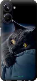 Чохол на Realme 10 Димчастий кіт "825b-2946-2448"
